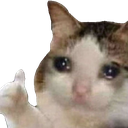 Cry Thumbs Up