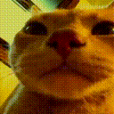 Vibe Cat